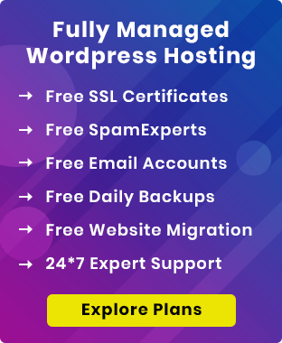 Fully Managed WordPress Hosting